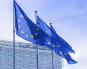 European Union flags