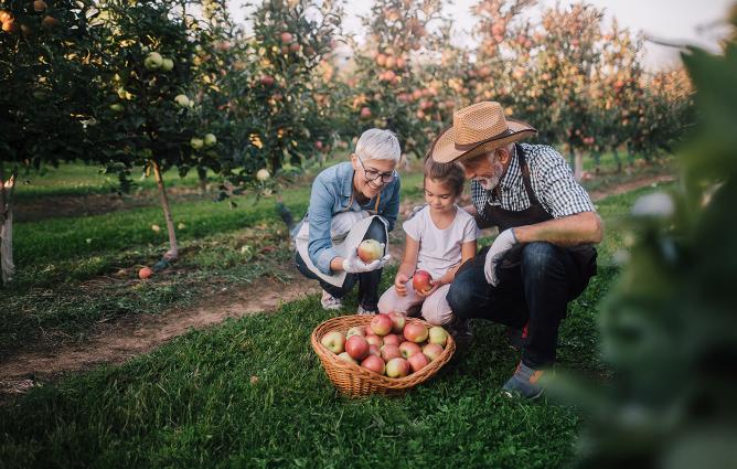 ici-web-photo-1055947222